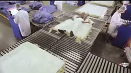 <b>1. </b>A hilarious advertisement by the Canal + Cinema Channel