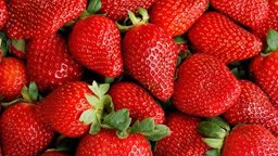<b>4. </b>Take a look at the life stage of a strawberry in this video