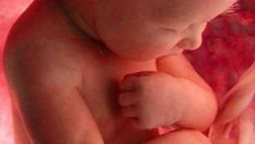 <b>2. </b>An amazing video showing the baby's journey in his mother's womb