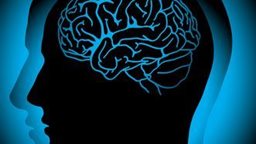 <b>5. </b>10 عادات يومية تدمر الدماغ