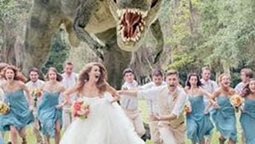 <b>5. </b>Dinosaur chasing bride and groom