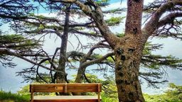 <b>2. </b>3 things that remind you of Lebanon wherever you go