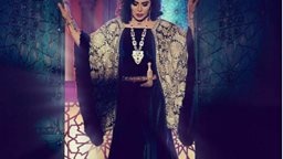 <b>4. </b>سبب ايقاف برنامج ذا كوين للفنانة احلام