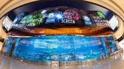 <b>4. </b>New OLED screen at Dubai Aquarium breaks Guinness World Record