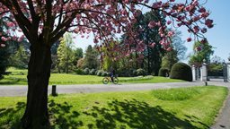 <b>4. </b>جنيف تستقبل زوارها العرب بخيارات ترفيهية لا تُحصى ملائمة لجميع الأعمار