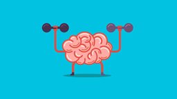 <b>5. </b>6 أطعمة لتحفيز قدرة وطاقة الدماغ