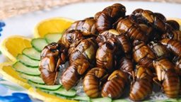 <b>5. </b>بالصور ... مأكولات وأطباق آسيوية غريبة جدا