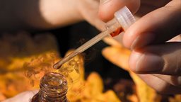 <b>1. </b>كيف يُصنّع دهن العود وكيف تُفرق بين الأصلي والمغشوش؟