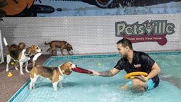 <b>4. </b>Petsville Aqua Pawk: The Middle East’s First-Ever Water Park to Open in Dubai!