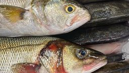 <b>1. </b>What you need to Know about Mercury in Seafood