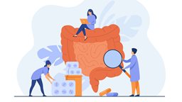 <b>3. </b>10 Interesting Facts related to the Digestive System