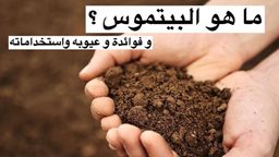 <b>5. </b>ما هو البيتموس وما هي فوائده وعيوبه؟