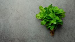 <b>2. </b>طريقة طبيعية لطرد العناكب من البيت باستخدام النعناع