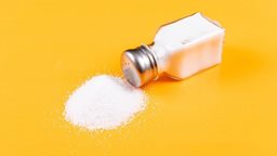 <b>3. </b>What you didn't know about the History of Salt