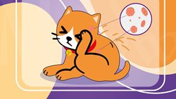 <b>4. </b>كل ما تريد معرفته عن الفطريات عند القطط