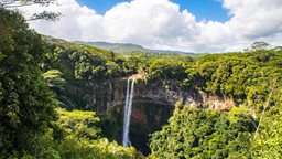 <b>4. </b>Interesting Facts about Mauritius in East Africa