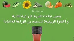 <b>4. </b>ماذا يعني مصطلح العروة الثانية لكل المهتمين بالزراعة المنزلية؟