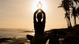 What is Yoga and its 3 Fundamental Components