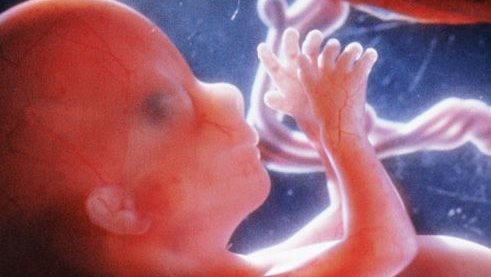 How smoking harms the unborn baby