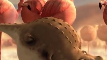 What if animals eat McDonalds meals...Video