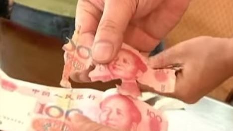 بالفيديو ... النمل يحول ثروة امرأة صينية الى فتات
