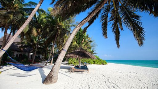 فلاي دبي تطلق قسم العطلات في سوق السفر العربي