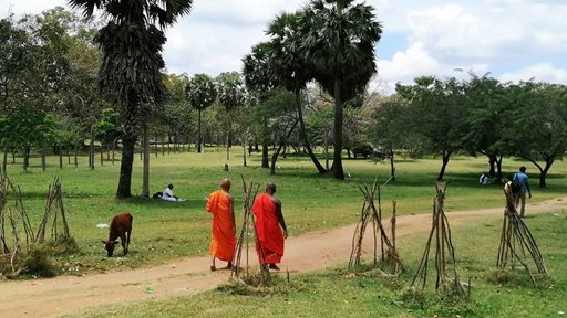 What are Poya Days in Srilanka?