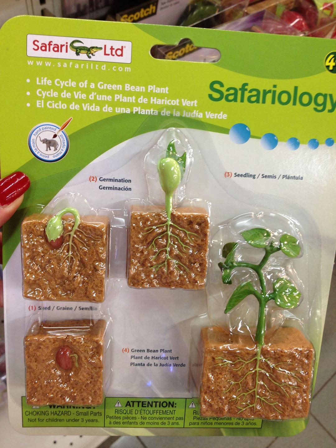 Safariology educational toys at Jarir Bookstore 