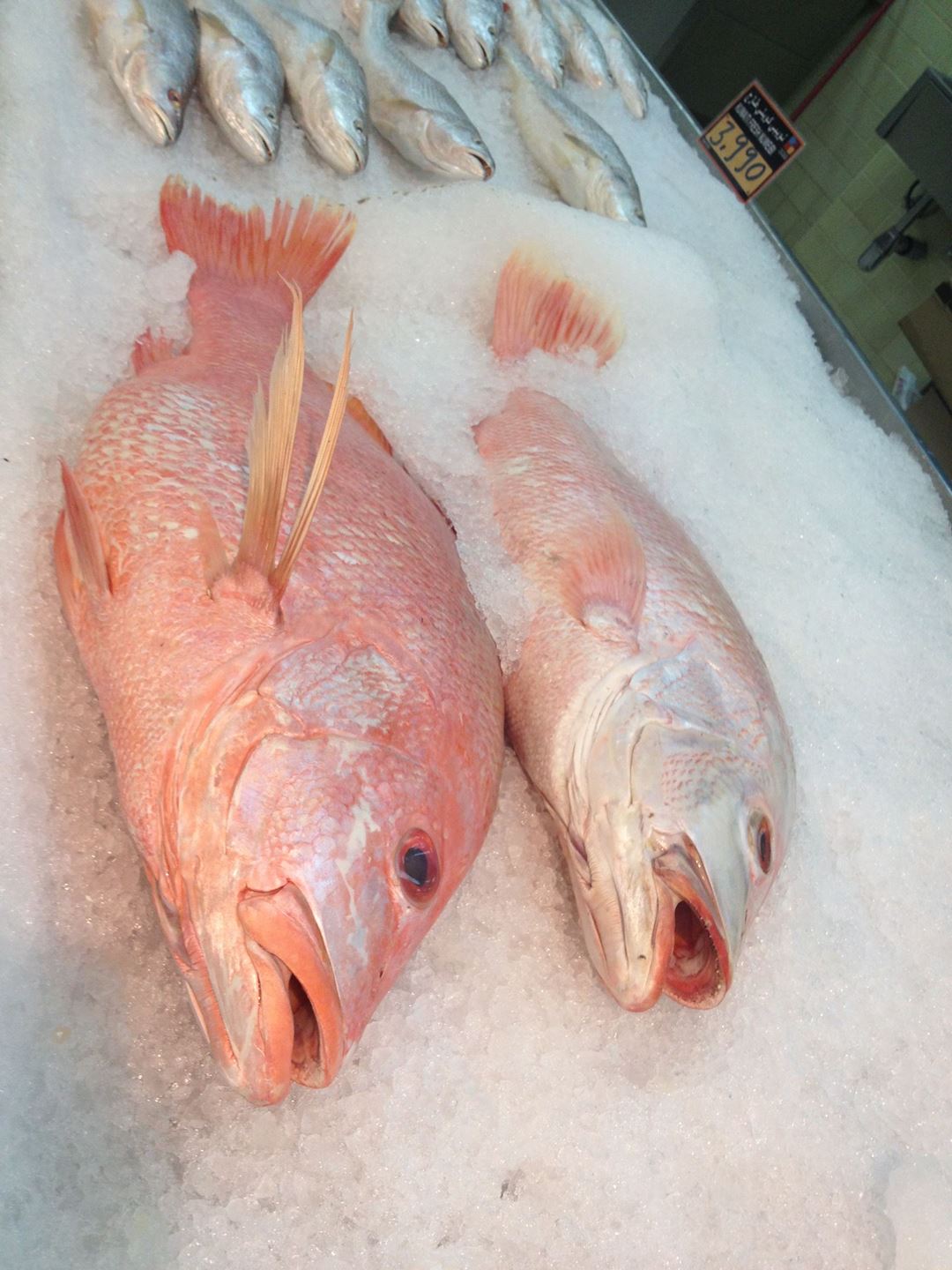 Good Looking Iranian Fresh Hamra @Sultan Center