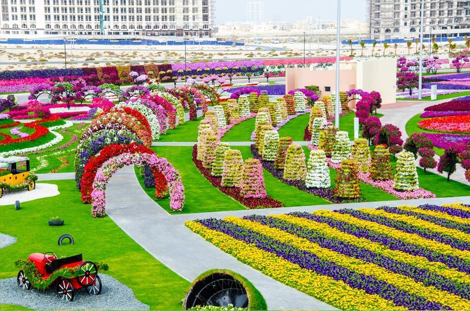 تعرف على الحديقة المعجزة في دبي