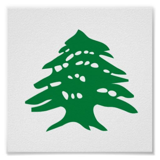 ارزة لبنان ... ارزة المجد
