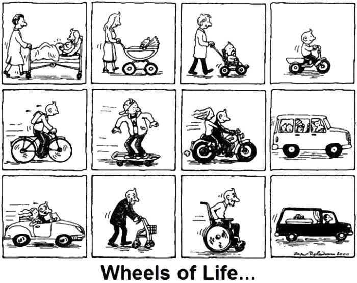Wheels of life
