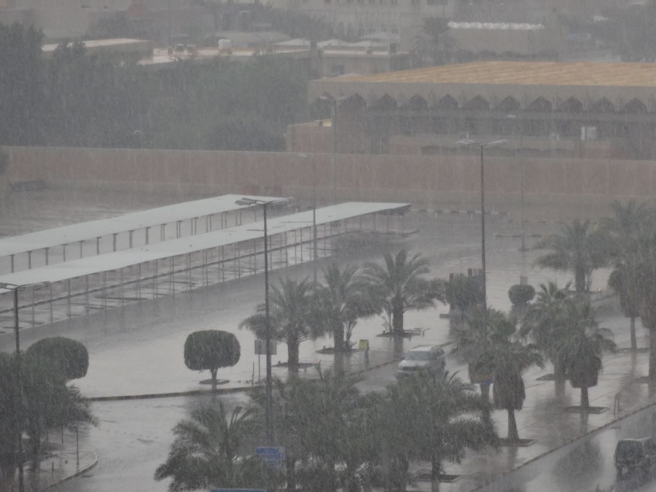 صباح ممطر في الكويت