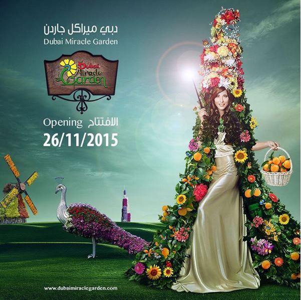 Opening date of Dubai Miracle Garden for 2015 - 2016 season