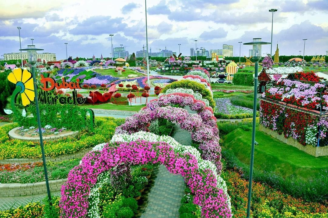 Closing Date of Dubai Miracle Garden Season 2016