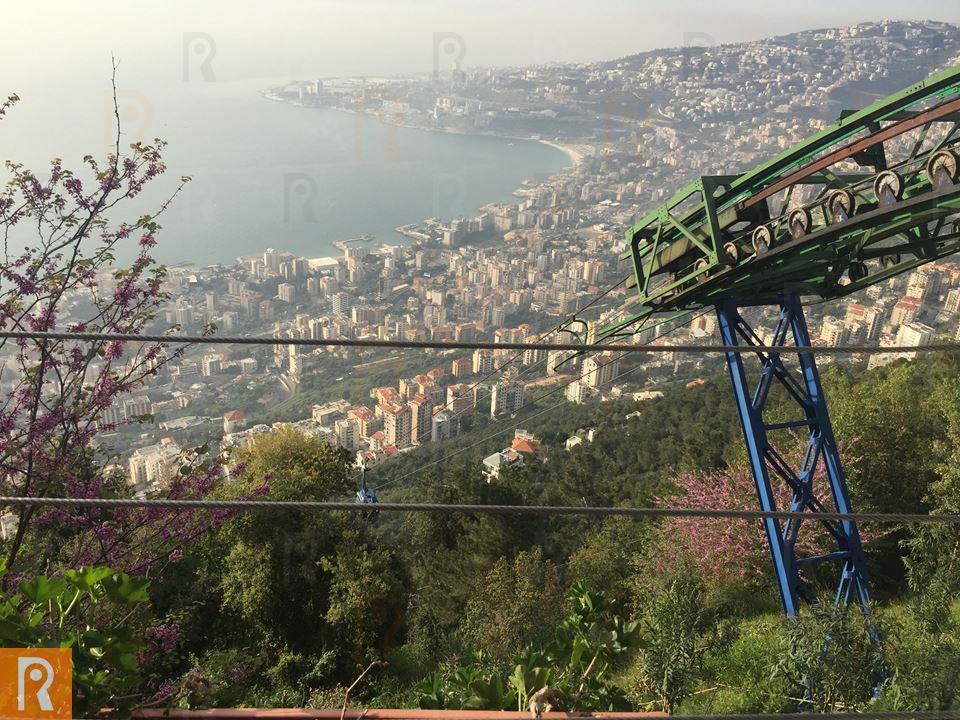 Lebanon Celebrates after Tough Hard Times