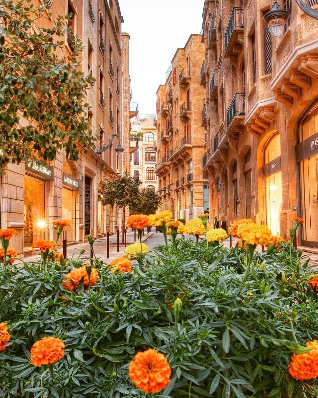 10 Beautiful Photos from Downtown Beirut