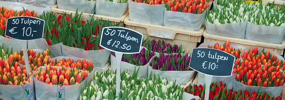 Flower Market in Amsterdam - Netherlands