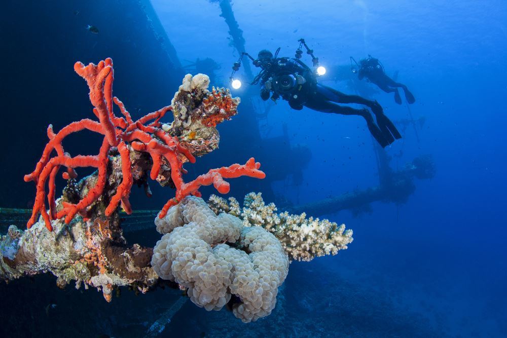 Diving in Aqaba, Jordan