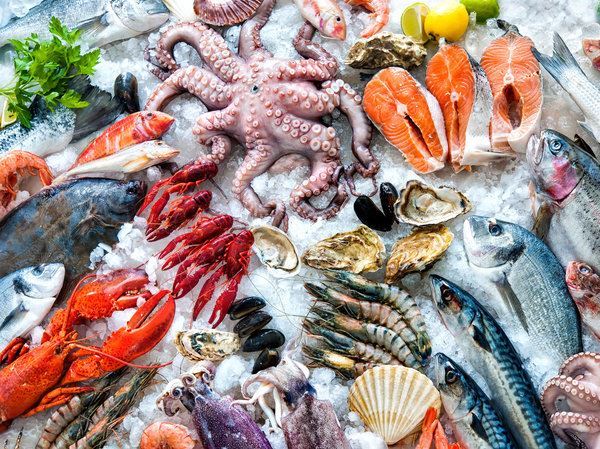 Fish, Fun and Folk at Al Raha Beach Hotel Abu Dhabi