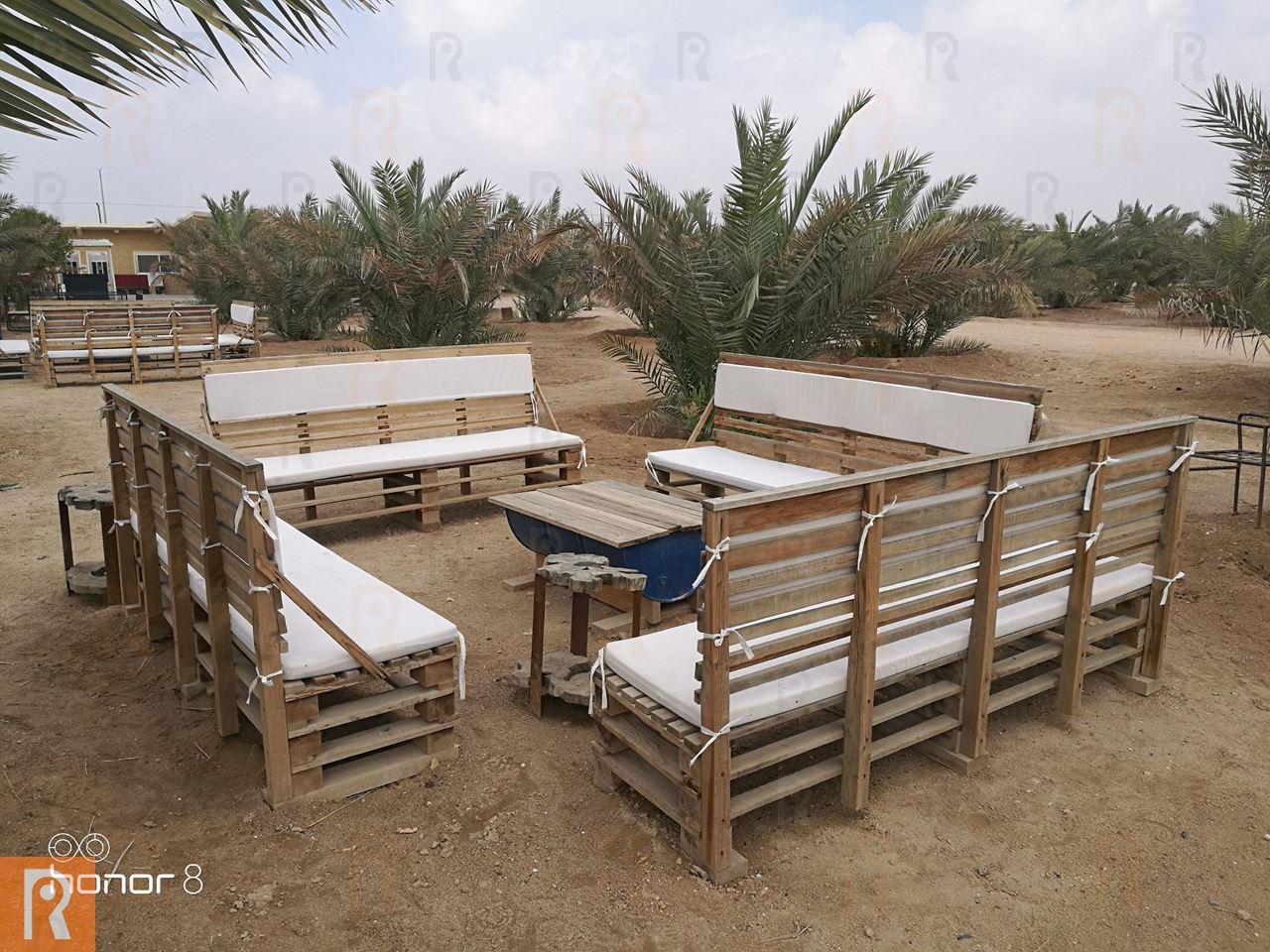 Photos ... Great Day at Sadeer Farms in Abdali