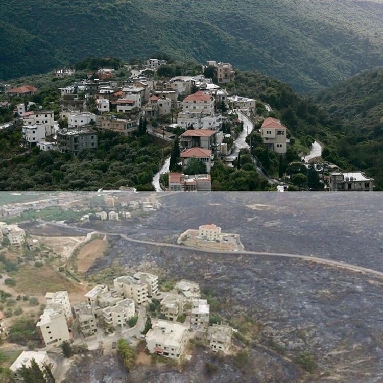 Mechref Area in Lebanon Before and After the Fires