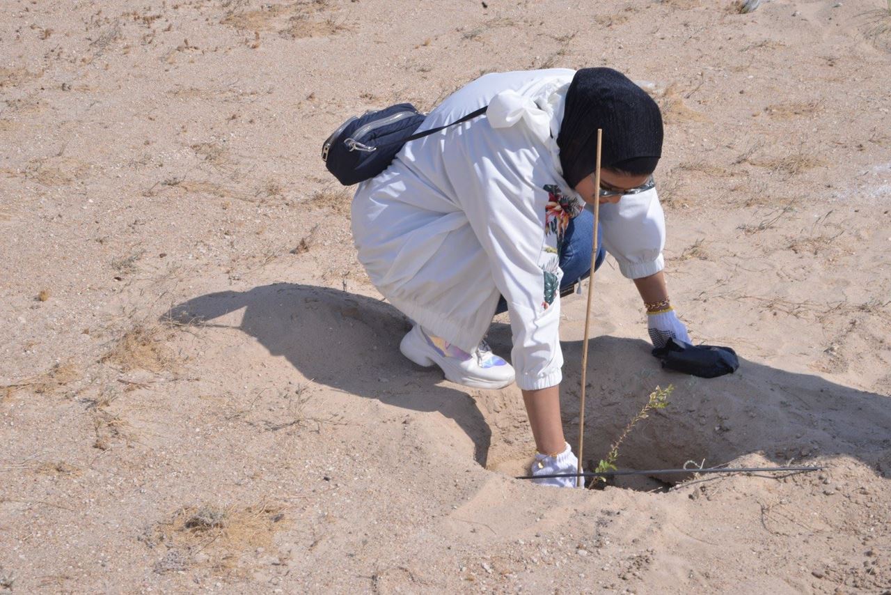 Environment Public Authority campaign for Afforestation of Al-Jahra Natural Reserve Sponsored by KGL