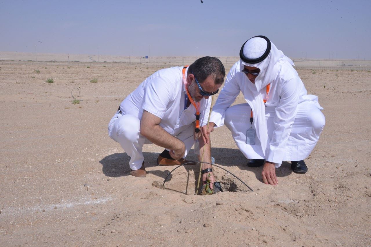 Environment Public Authority campaign for Afforestation of Al-Jahra Natural Reserve Sponsored by KGL
