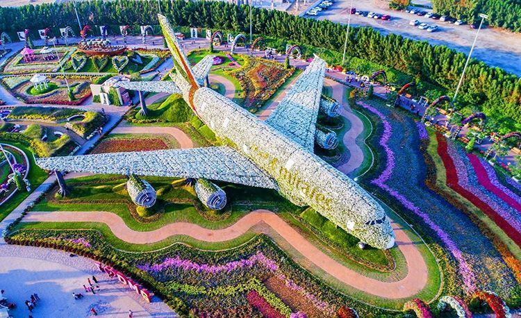 Dubai Miracle Garden Opening on 1st of November 2019