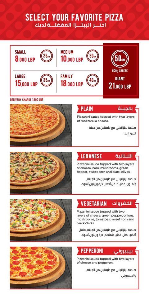 Latest offers from PIZZANINI for a limited time only!