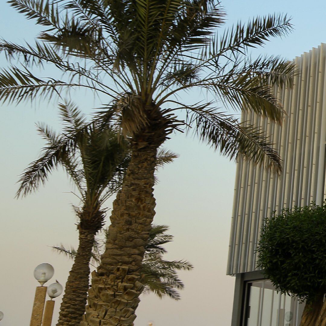 افتتاح برجر كنج وبيتزا هت على شارع الخليج العربي في الكويت