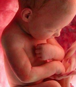 فيديو رائع جدا لرحلة الجنين في رحم الأم من مرحلة التكون الى الولادة