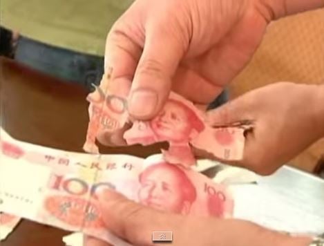 بالفيديو ... النمل يحول ثروة امرأة صينية الى فتات