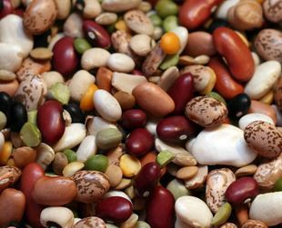 Why are beans good for diet?